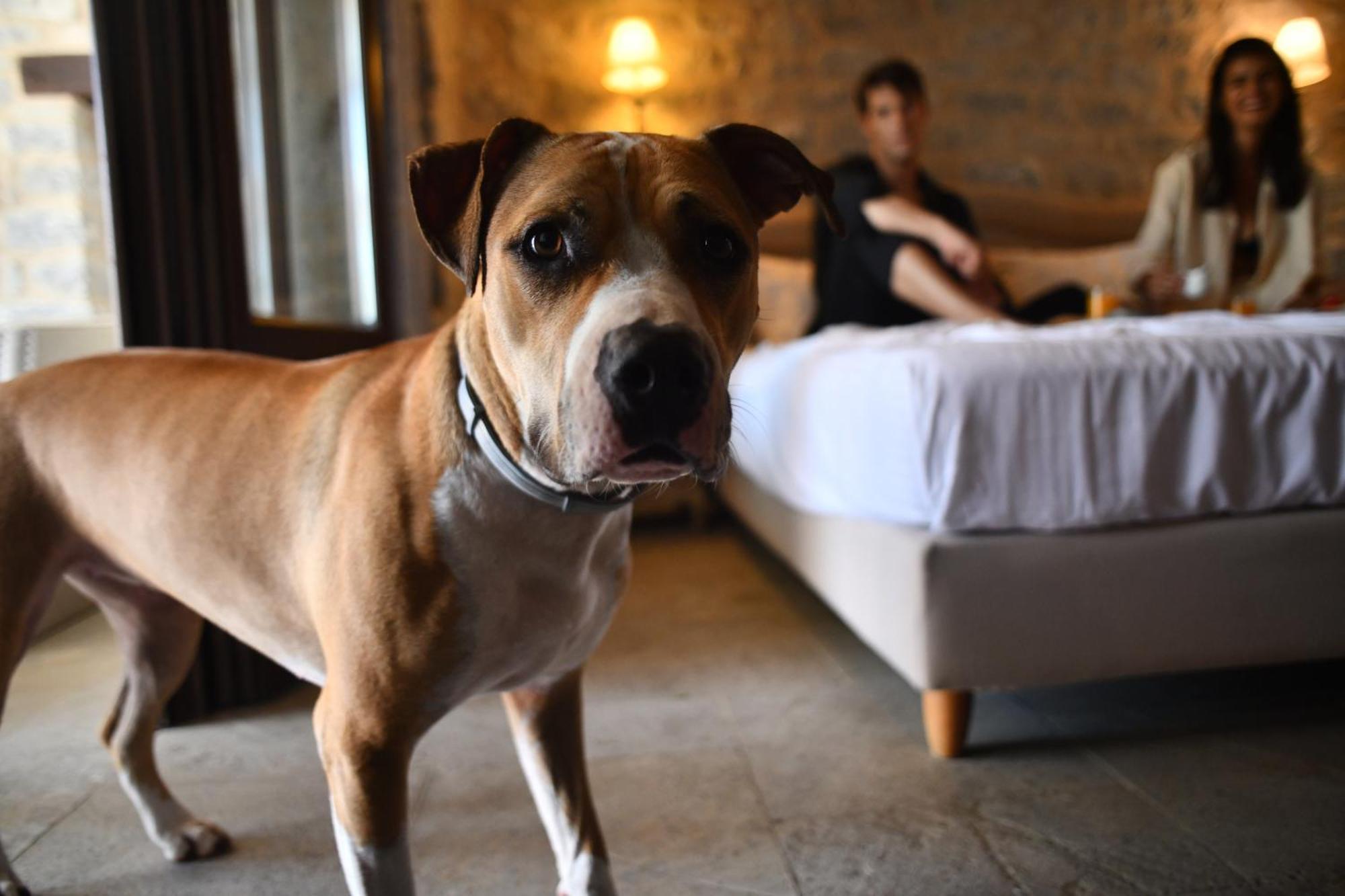 Petra & Fos Boutique Hotel & Spa Ítilo Kültér fotó
